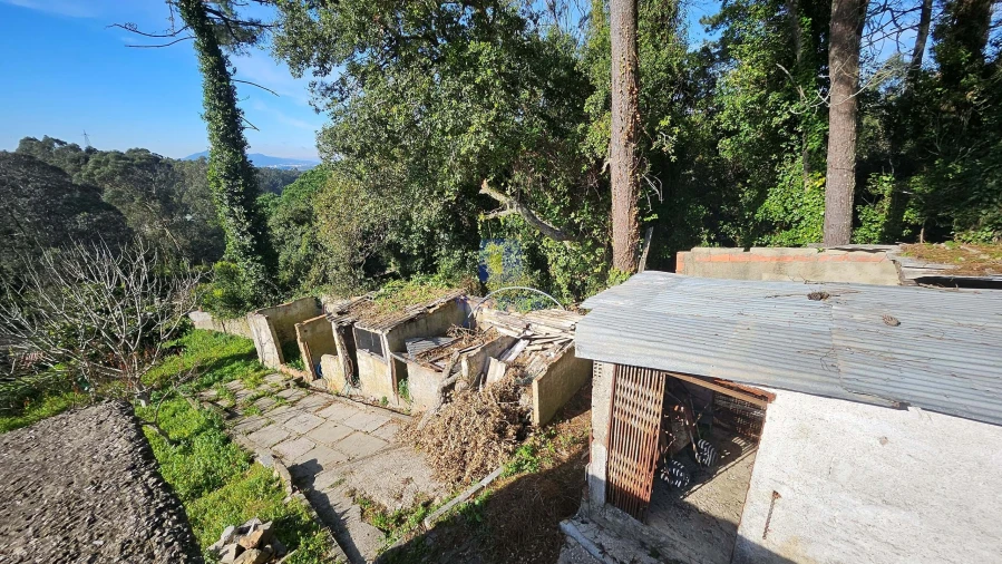 Terreno Agricola ou Rústico para Venda em Agualva e Mira-Sintra Foto 3