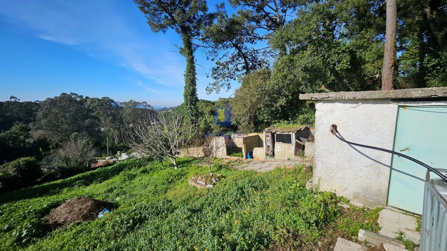 Terreno Agricola ou Rústico para Venda em Agualva e Mira-Sintra Foto 5