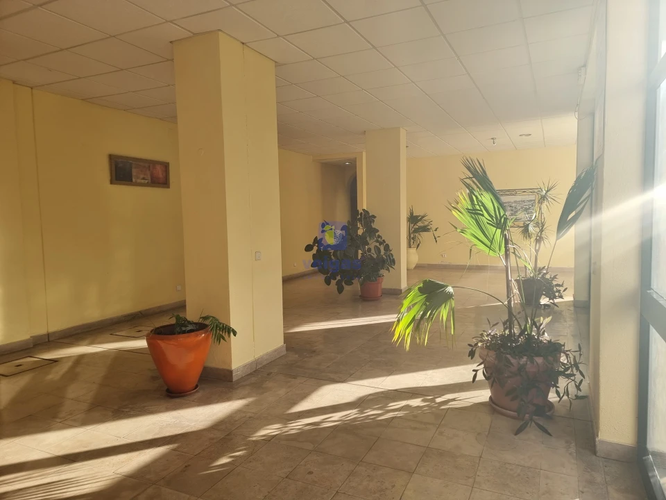 Apartamento T1 para Venda em Albufeira e Olhos de Água Foto 38