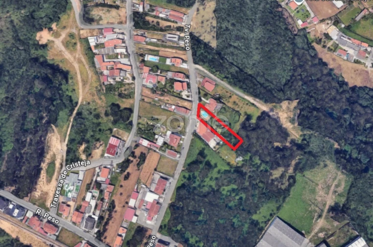 Terreno para Venda em São Paio de Oleiros Foto 9