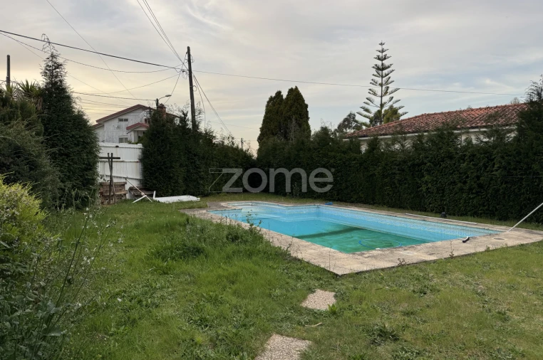 Terreno para Venda em São Paio de Oleiros Foto 6