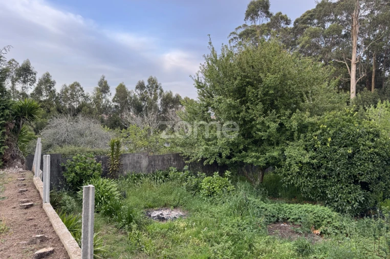 Terreno para Venda em São Paio de Oleiros Foto 7