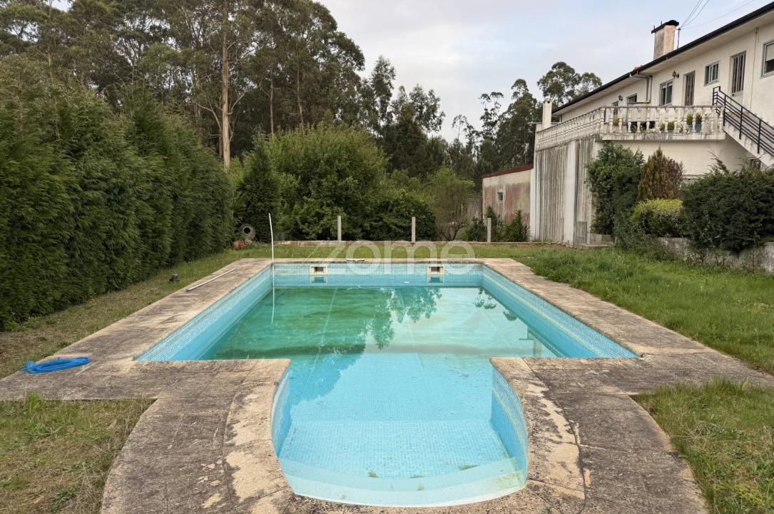 Terreno para Venda em São Paio de Oleiros Foto 4