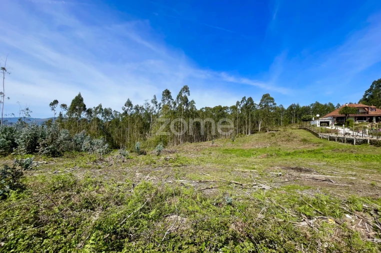 Terreno para Venda em Gondoriz Foto 5