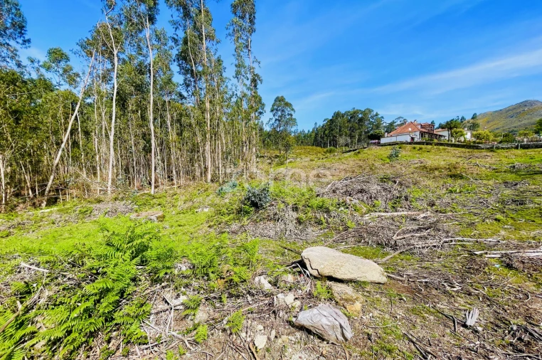 Terreno para Venda em Gondoriz Foto 7