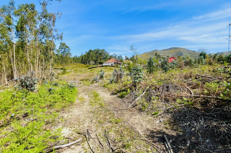 Terreno para Venda em Gondoriz Foto 9