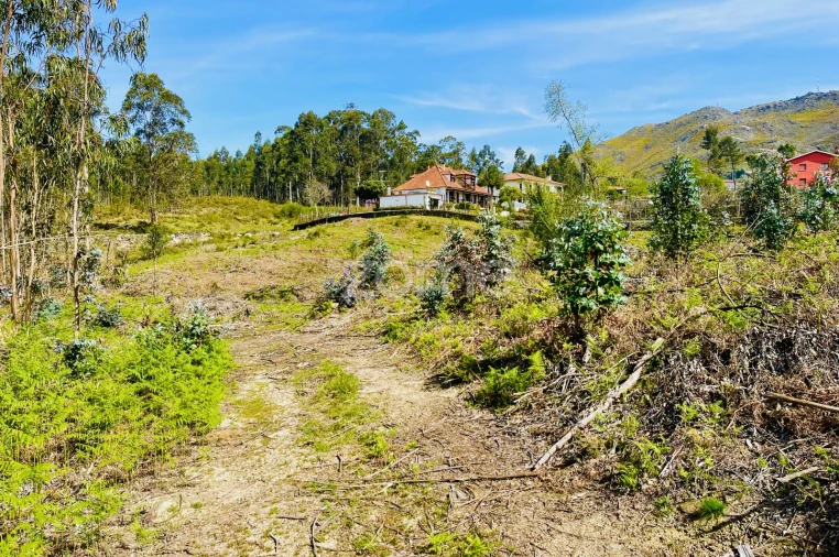 Terreno para Venda em Gondoriz Foto 10