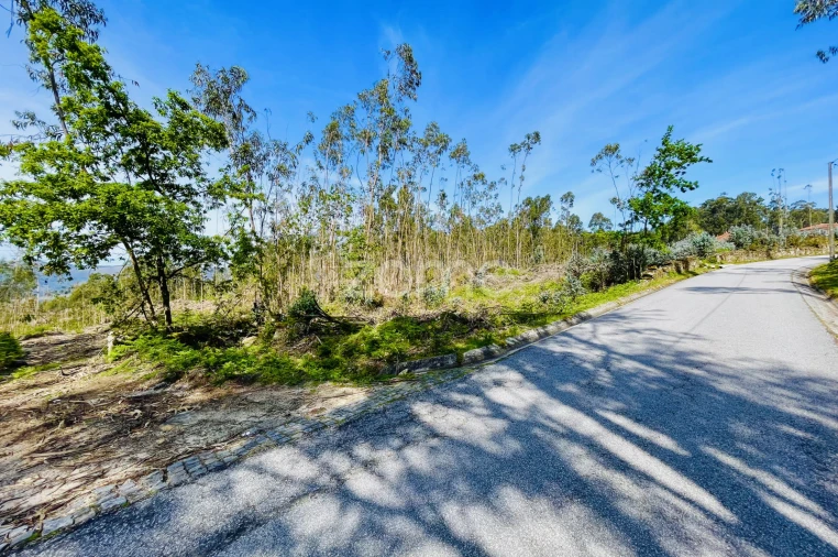 Terreno para Venda em Gondoriz Foto 11