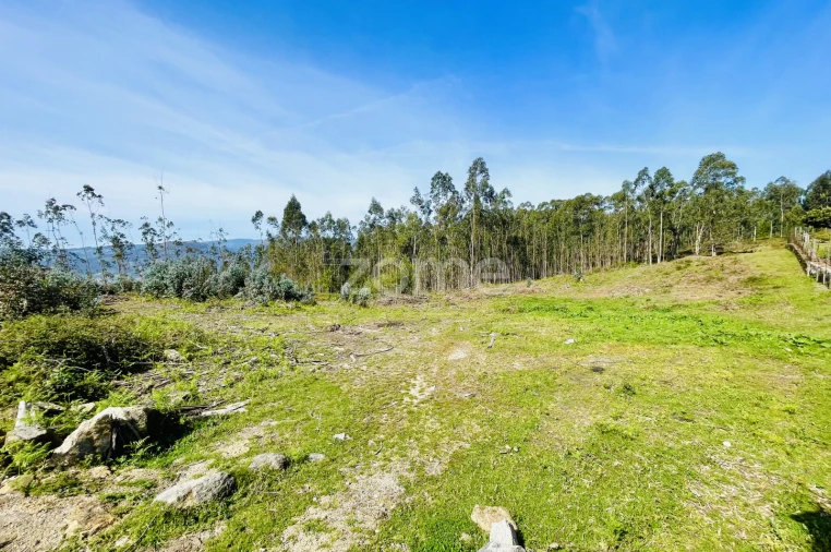 Terreno para Venda em Gondoriz Foto 16