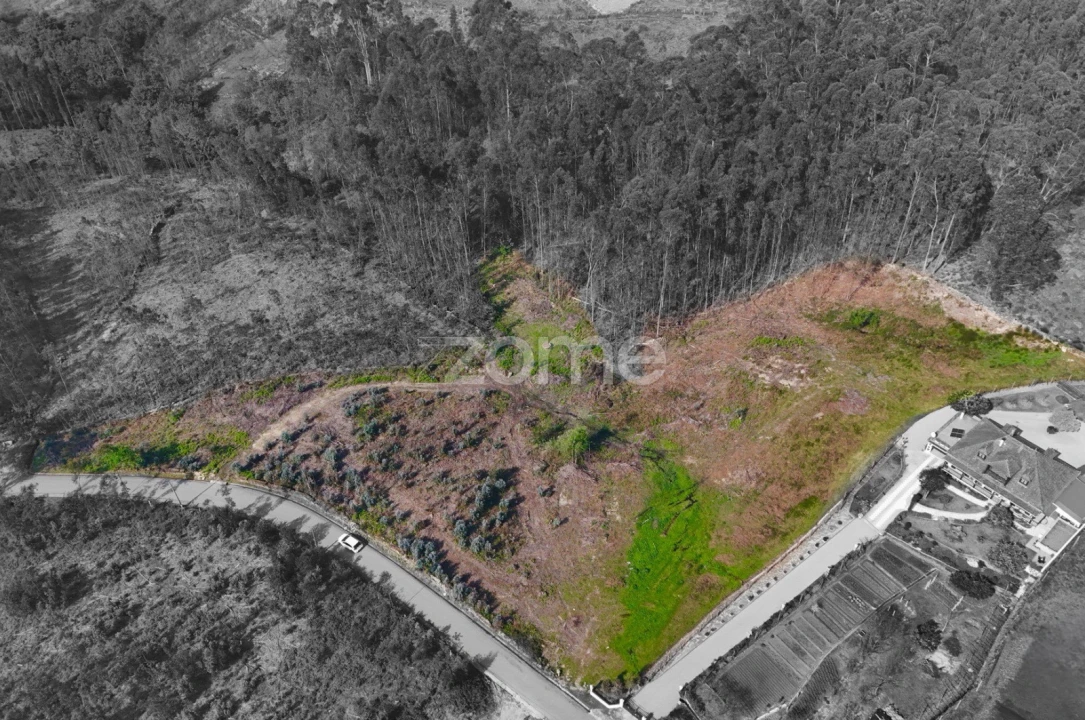 Terreno para Venda em Gondoriz Foto 17