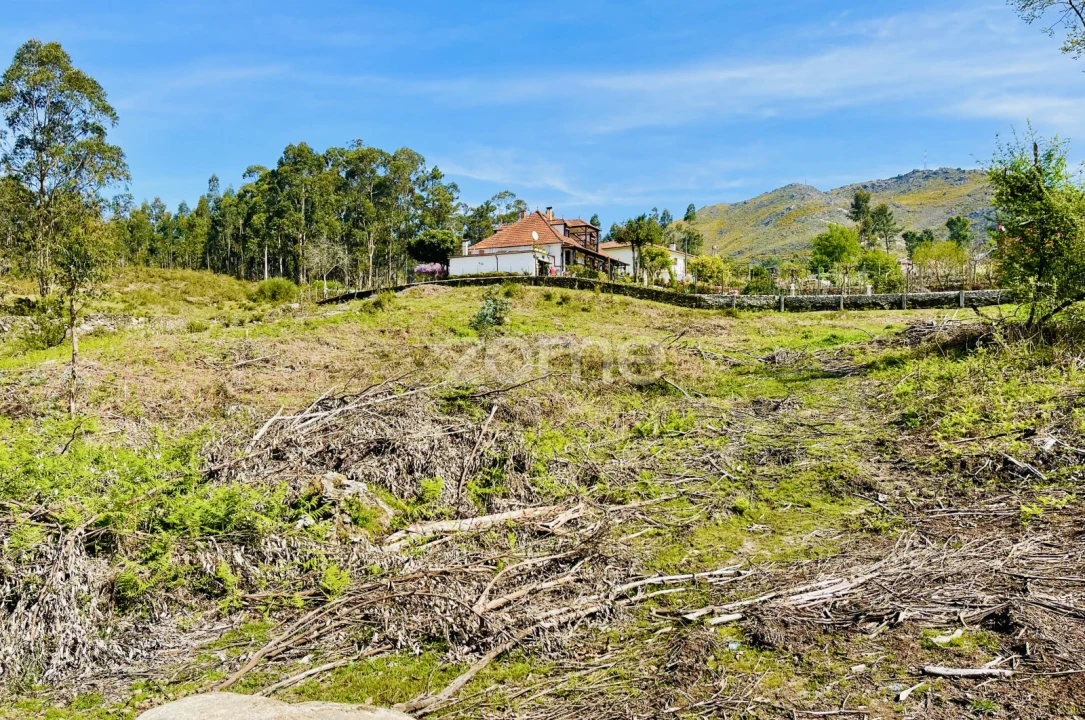 Terreno para Venda em Gondoriz Foto 8