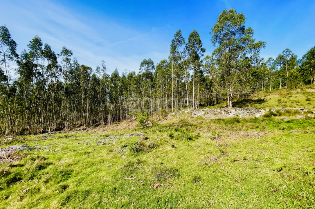 Terreno para Venda em Gondoriz Foto 13
