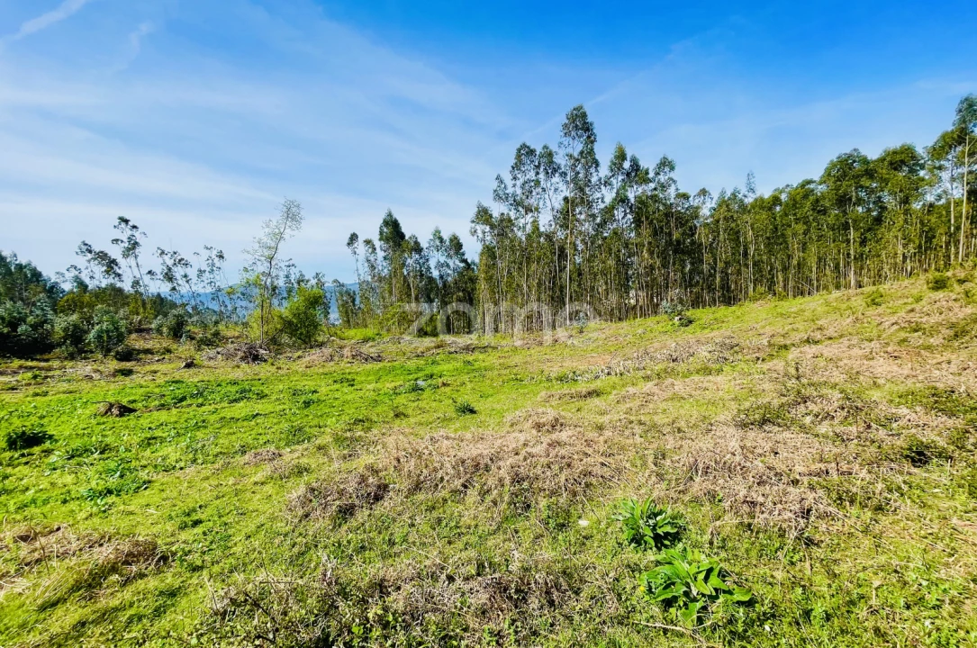 Terreno para Venda em Gondoriz Foto 15