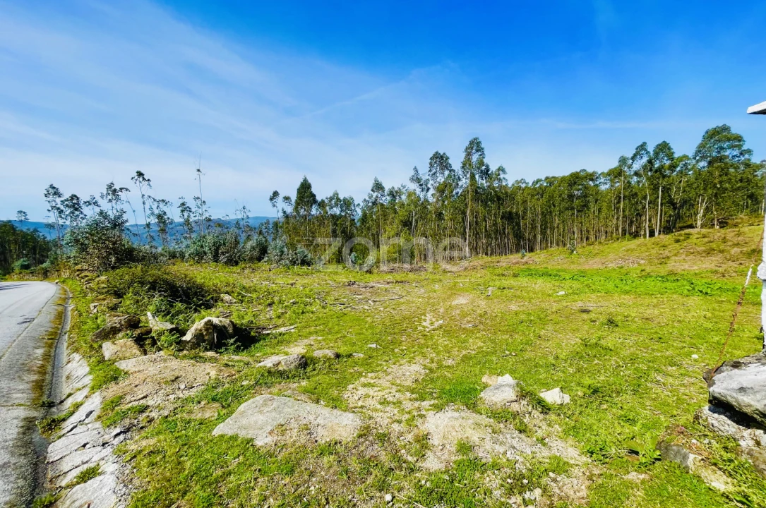 Terreno para Venda em Gondoriz Foto 1