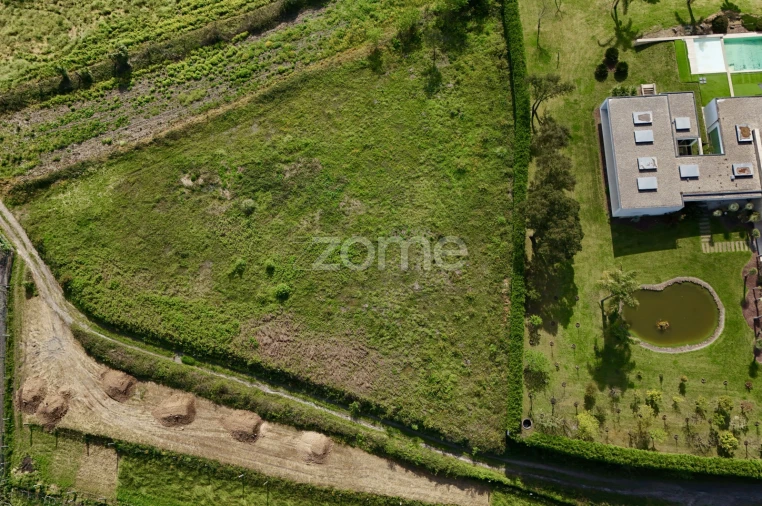 Terreno para Venda em Ribeirão Foto 5