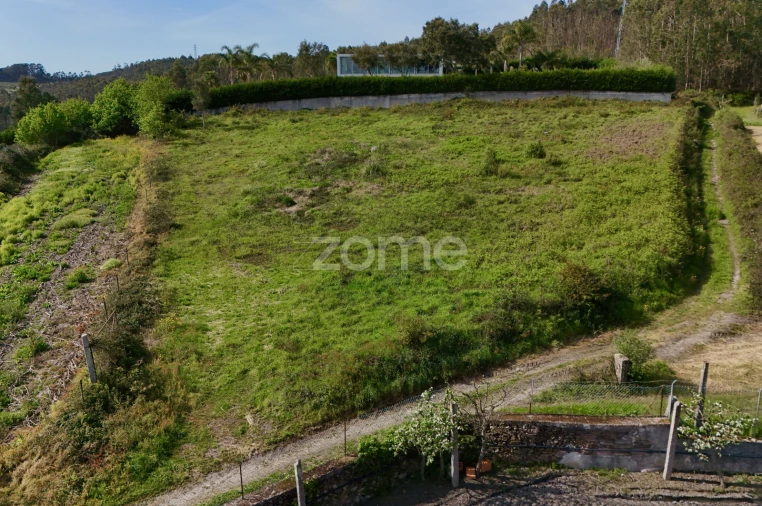 Terreno para Venda em Ribeirão Foto 8
