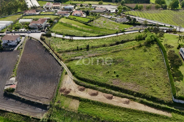 Terreno para Venda em Ribeirão Foto 3
