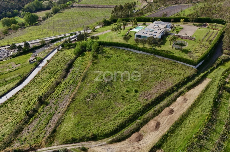 Terreno para Venda em Ribeirão Foto 10