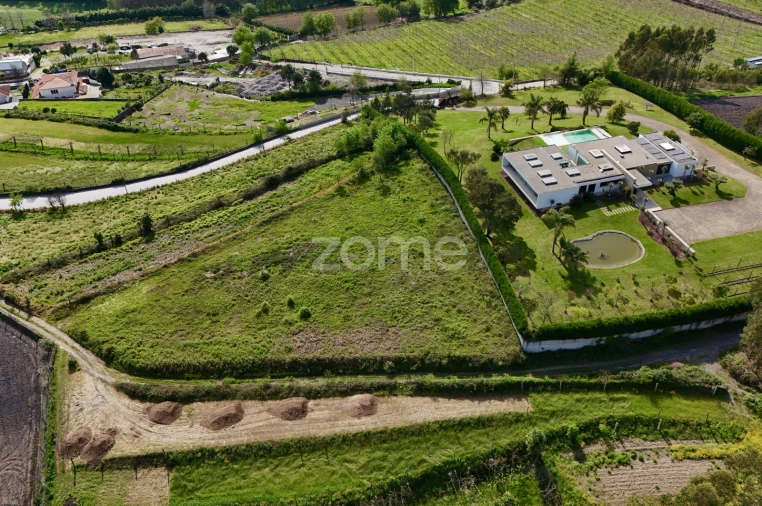 Terreno para Venda em Ribeirão Foto 11