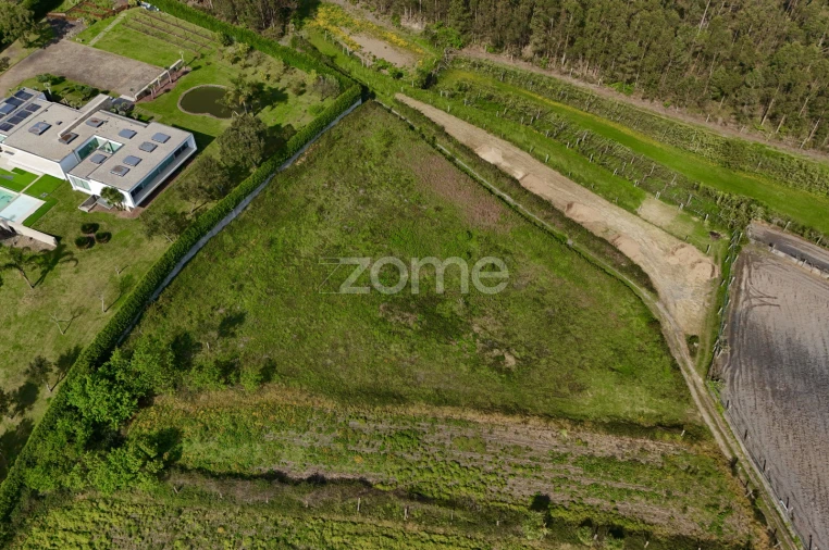 Terreno para Venda em Ribeirão Foto 14