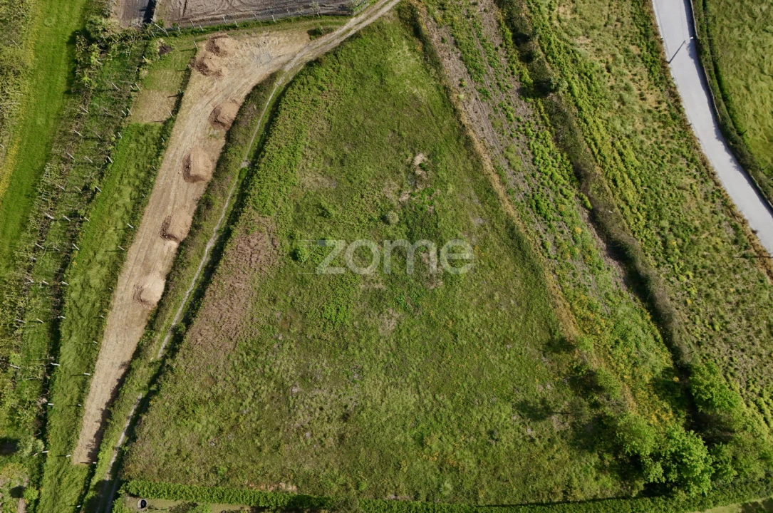 Terreno para Venda em Ribeirão Foto 6