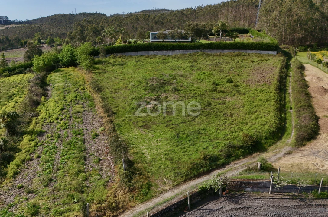 Terreno para Venda em Ribeirão Foto 7