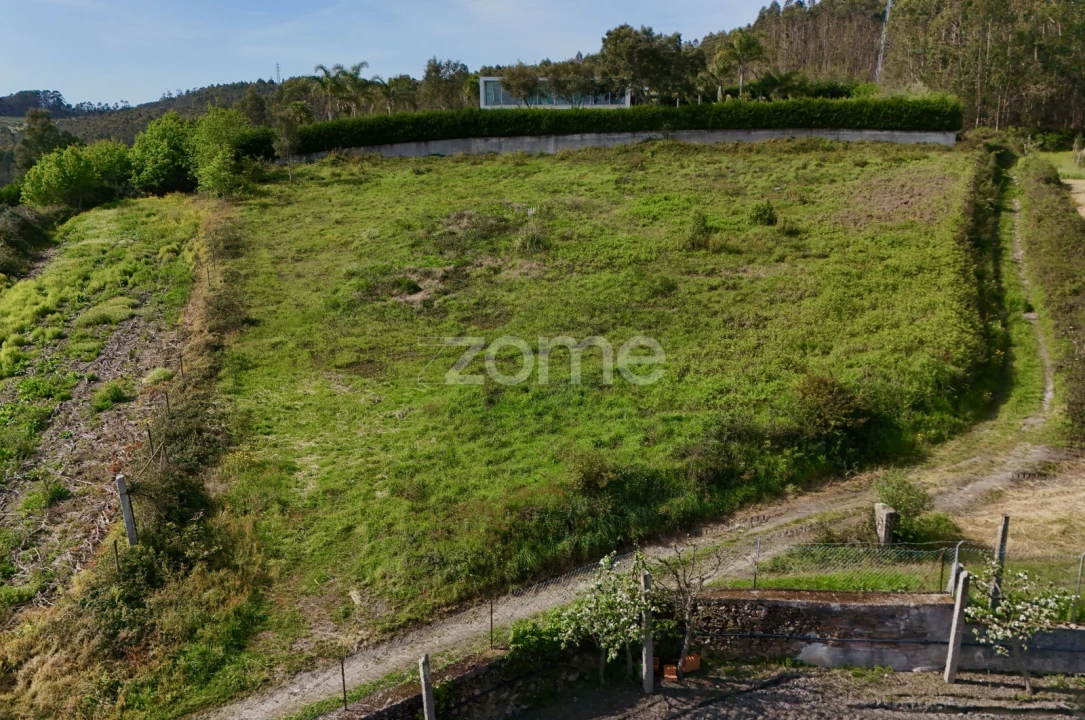 Terreno para Venda em Ribeirão Foto 8