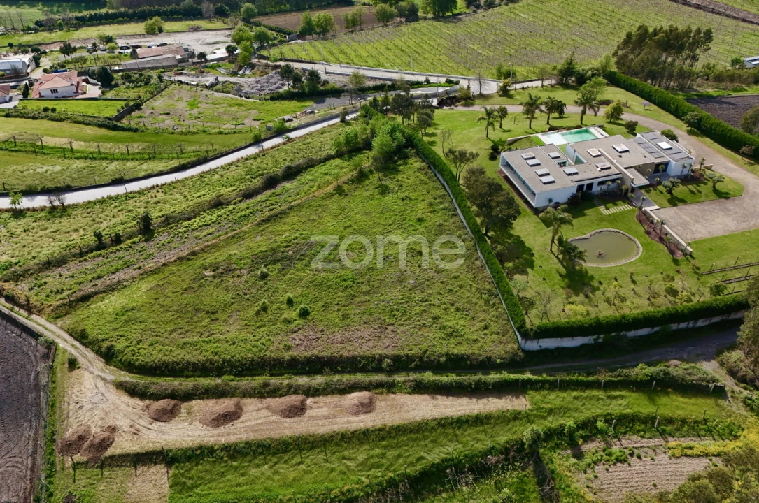 Terreno para Venda em Ribeirão Foto 11