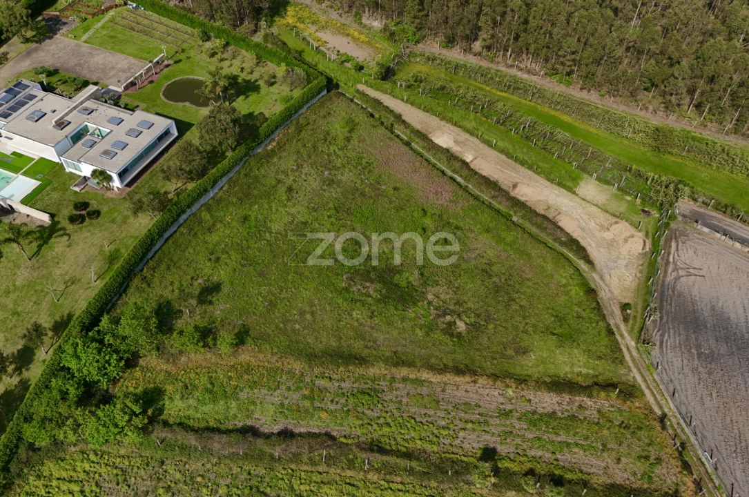 Terreno para Venda em Ribeirão Foto 14
