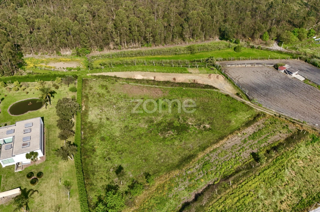 Terreno para Venda em Ribeirão Foto 15