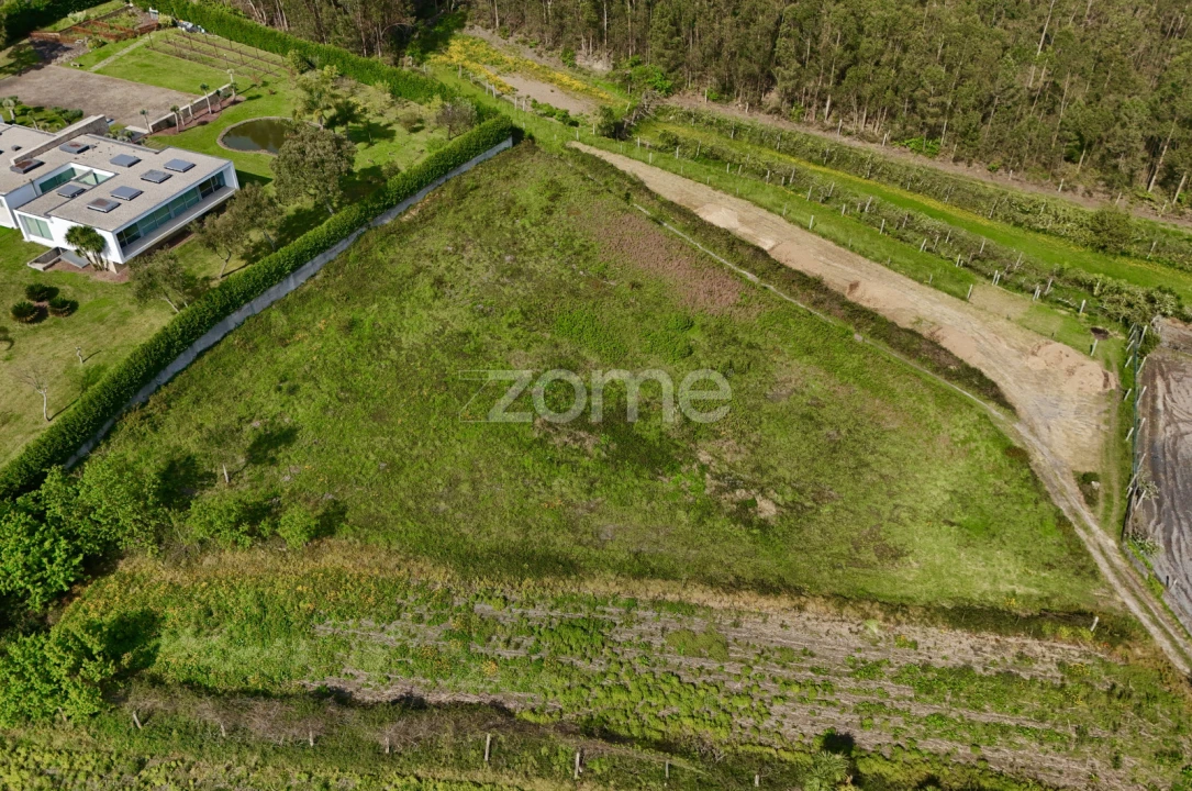 Terreno para Venda em Ribeirão Foto 17