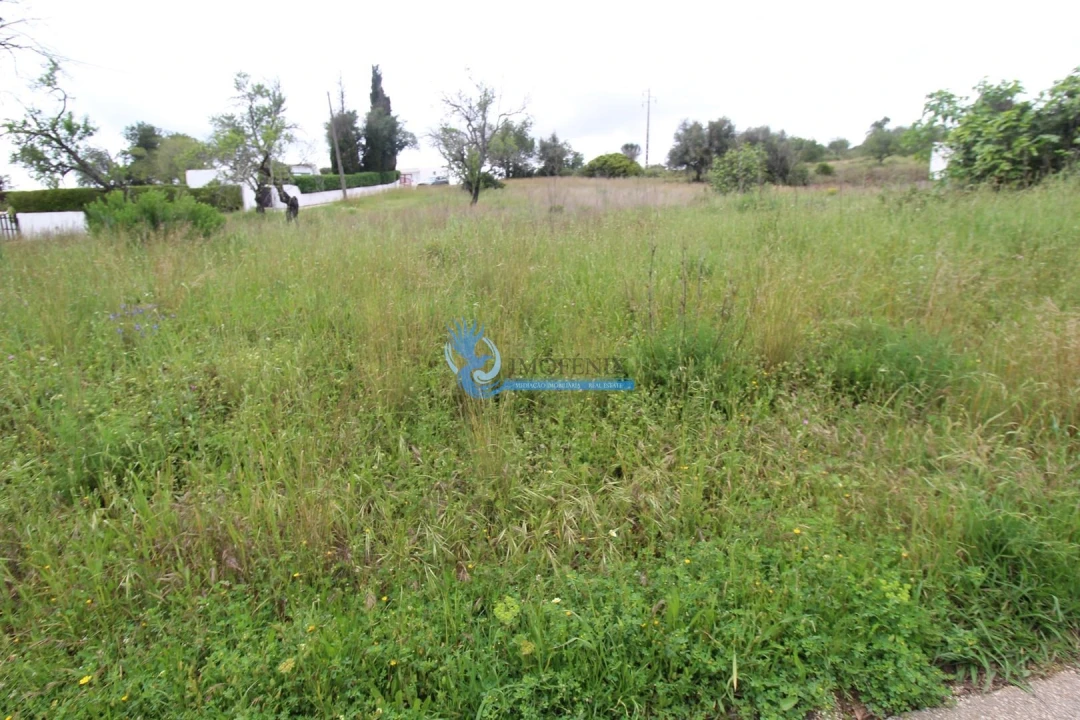 Terreno para Venda em Mexilhoeira Grande Foto 5
