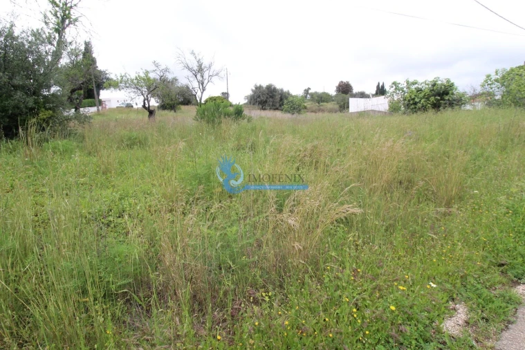 Terreno para Venda em Mexilhoeira Grande Foto 4