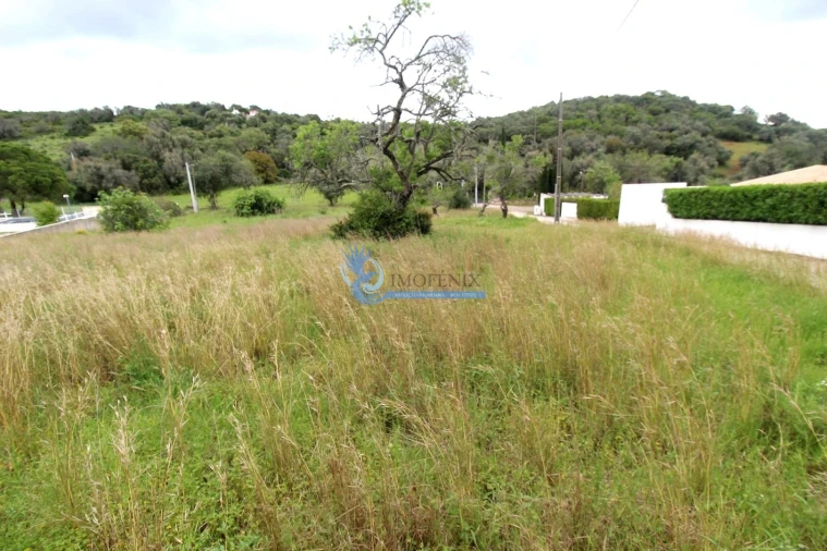 Terreno para Venda em Mexilhoeira Grande Foto 2