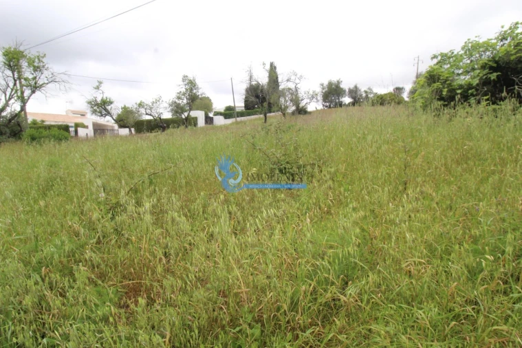 Terreno para Venda em Mexilhoeira Grande Foto 6