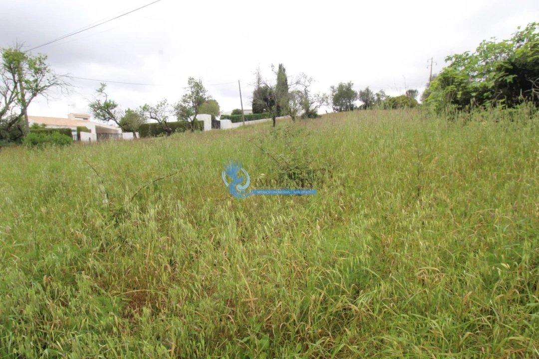 Terreno para Venda em Mexilhoeira Grande Foto 6