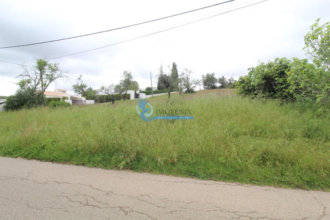 Terreno para Venda em Mexilhoeira Grande Foto 7