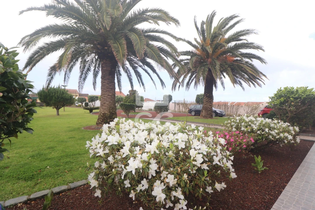 Moradia T3 para Venda em Ribeirinha Foto 1