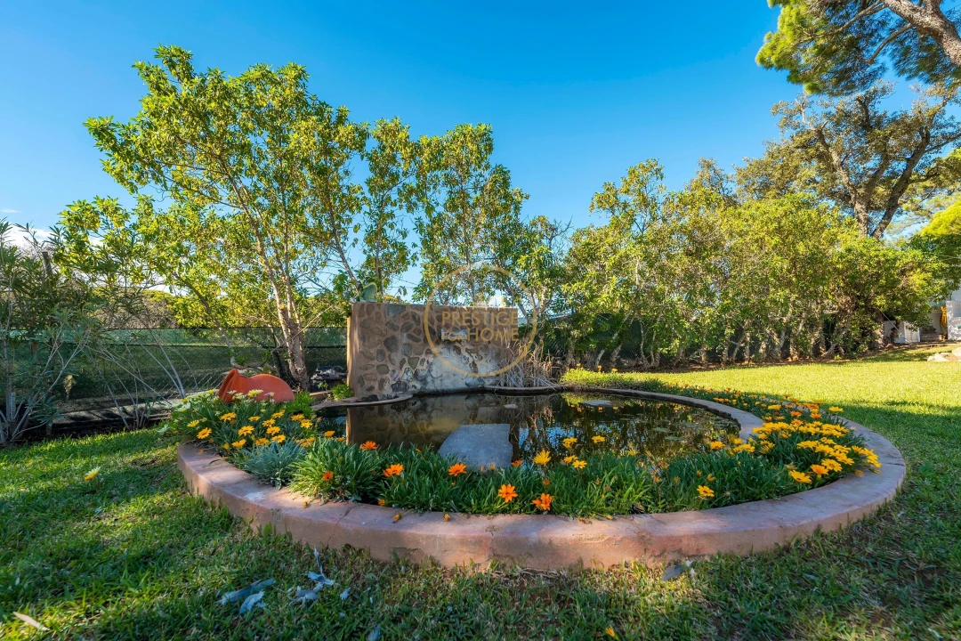 Moradia T4 para Arrendamento em Quarteira Foto 93