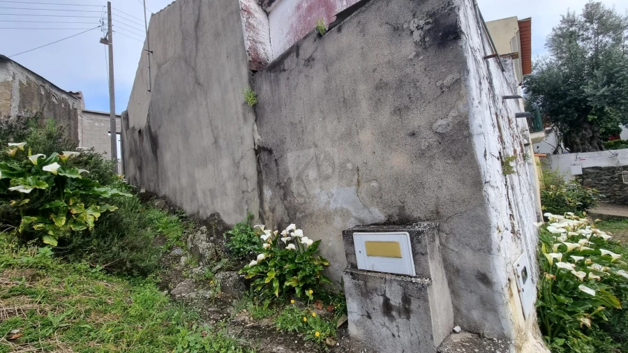 Moradia T3 para Venda em São Pedro do Esteval Foto 13