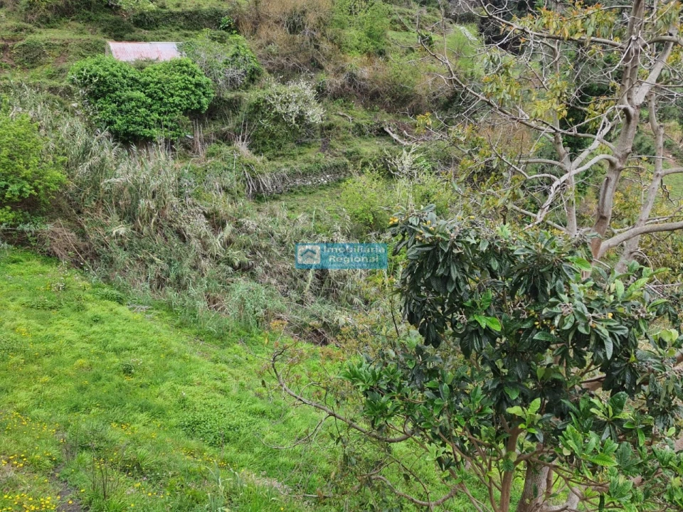 Moradia T2 para Venda em Tabua Foto 13