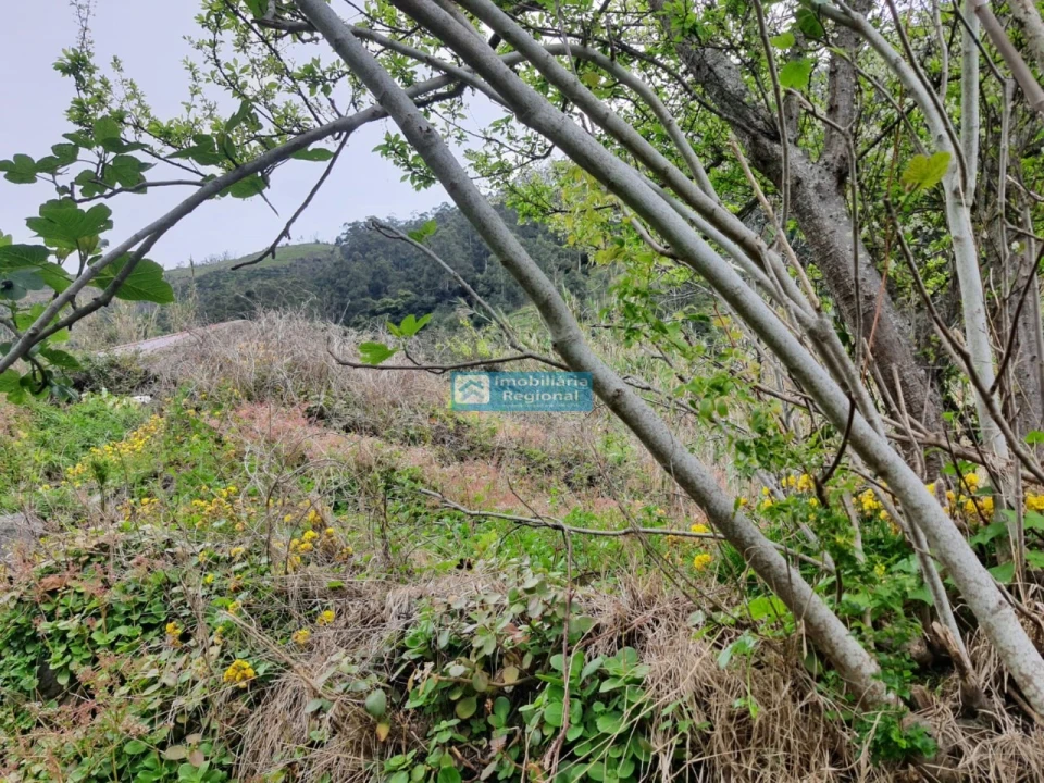 Moradia T2 para Venda em Tabua Foto 18