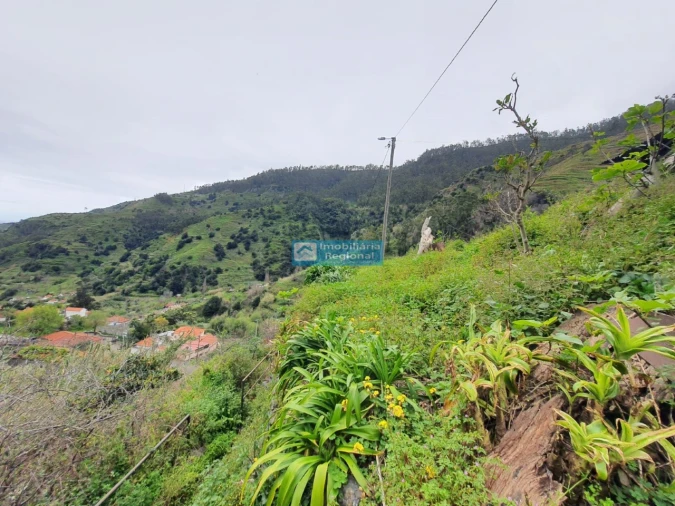 Moradia T2 para Venda em Tabua Foto 11