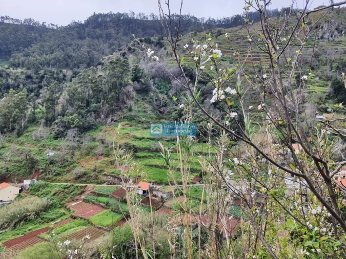 Moradia T2 para Venda em Tabua Foto 14