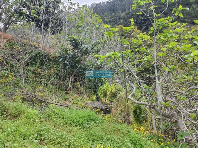 Moradia T2 para Venda em Tabua Foto 19