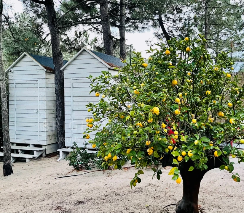 Moradia T5 para Venda em Carvalhal Foto 24