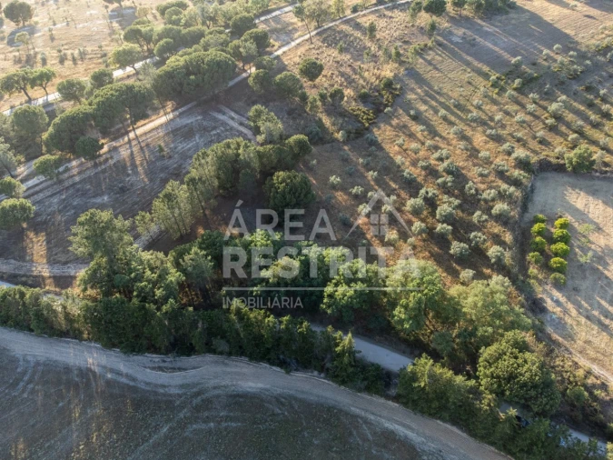 Terreno para Venda em Canha Foto 8