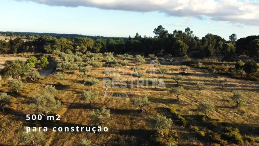 Terreno para Venda em Canha Foto 2