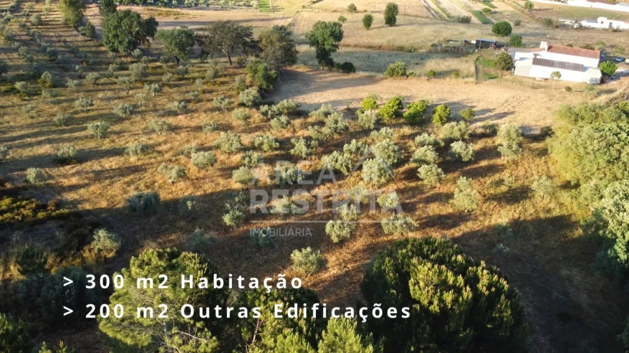 Terreno para Venda em Canha Foto 3