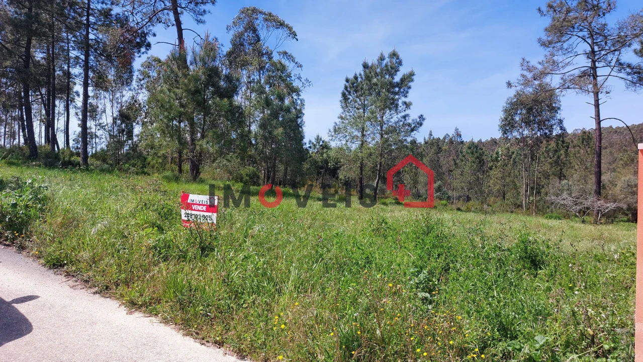 Terreno para Venda em São Mamede Foto 1